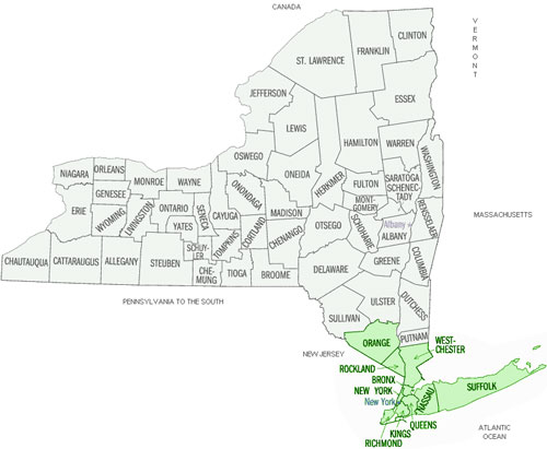 New York county map of PJ Martini Sales territory